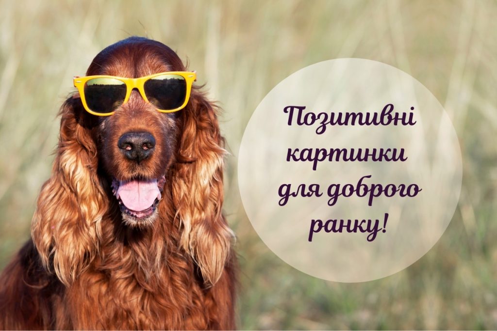 Прикольні картинки з добрим ранком